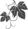 s h img icon 3