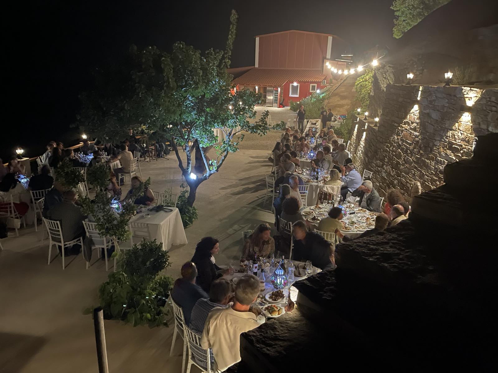 Tsantiris Wines (4)
